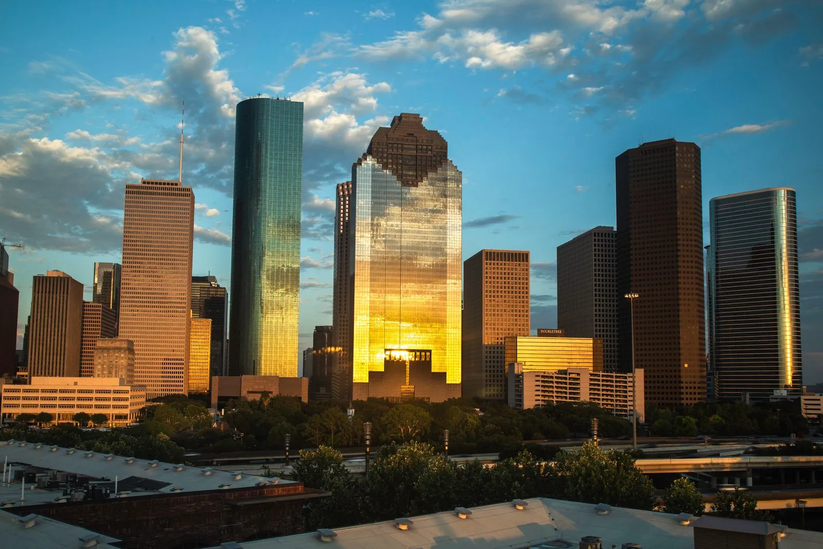 Downtown towers at golden hour, one glass building glowing in the sun, trees below