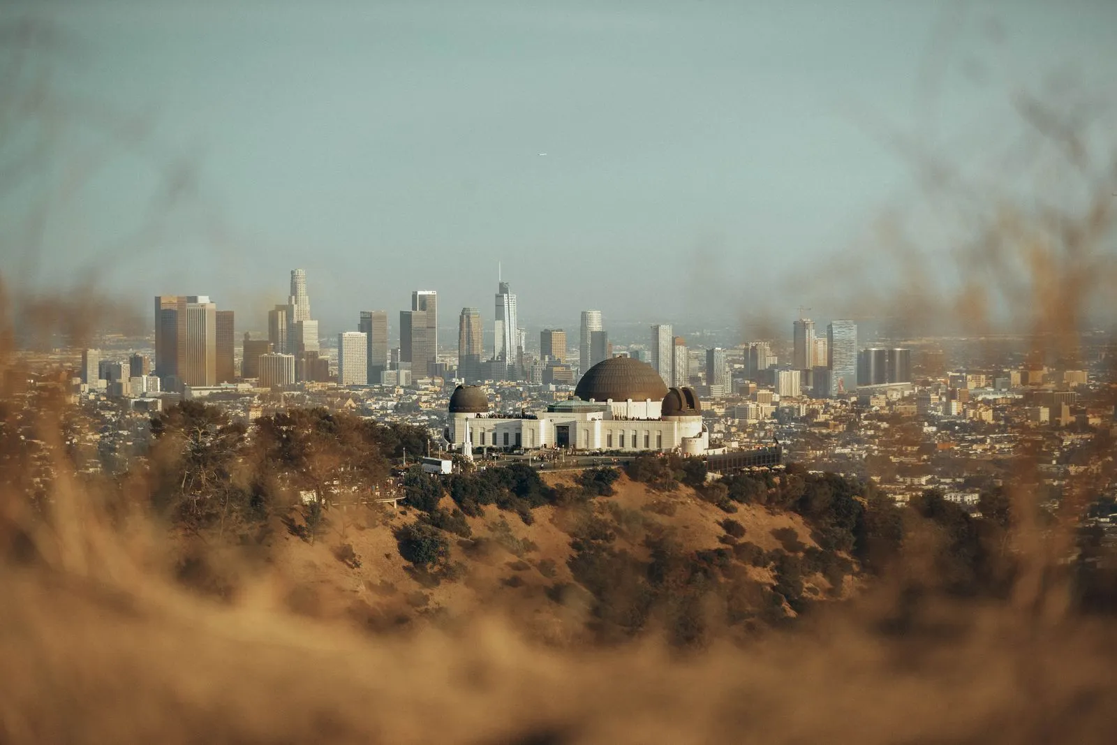 A domed white observatory on a dry hillside, a downtown skyline in the haze behind it