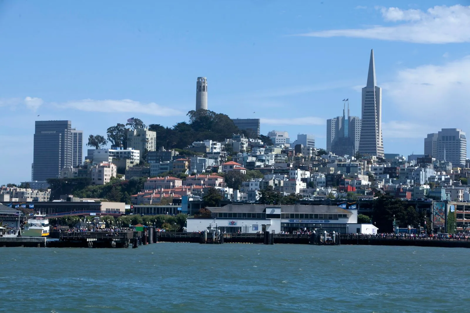 A hill of houses topped by a slender tower, with a pyramid-shaped skyscraper and the waterfront below