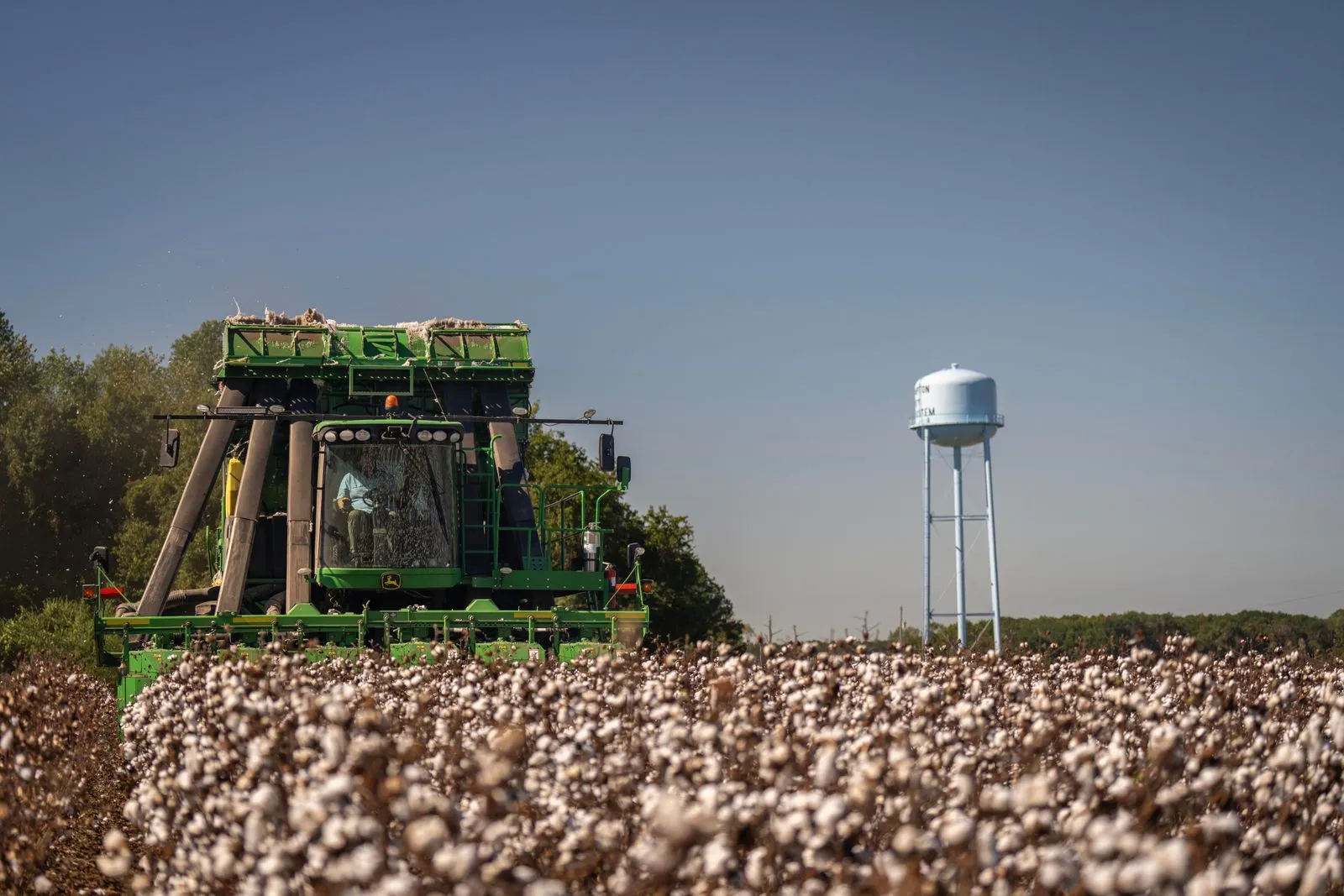 A green cotton harvester working a field of open white bolls, a water tower on the horizon