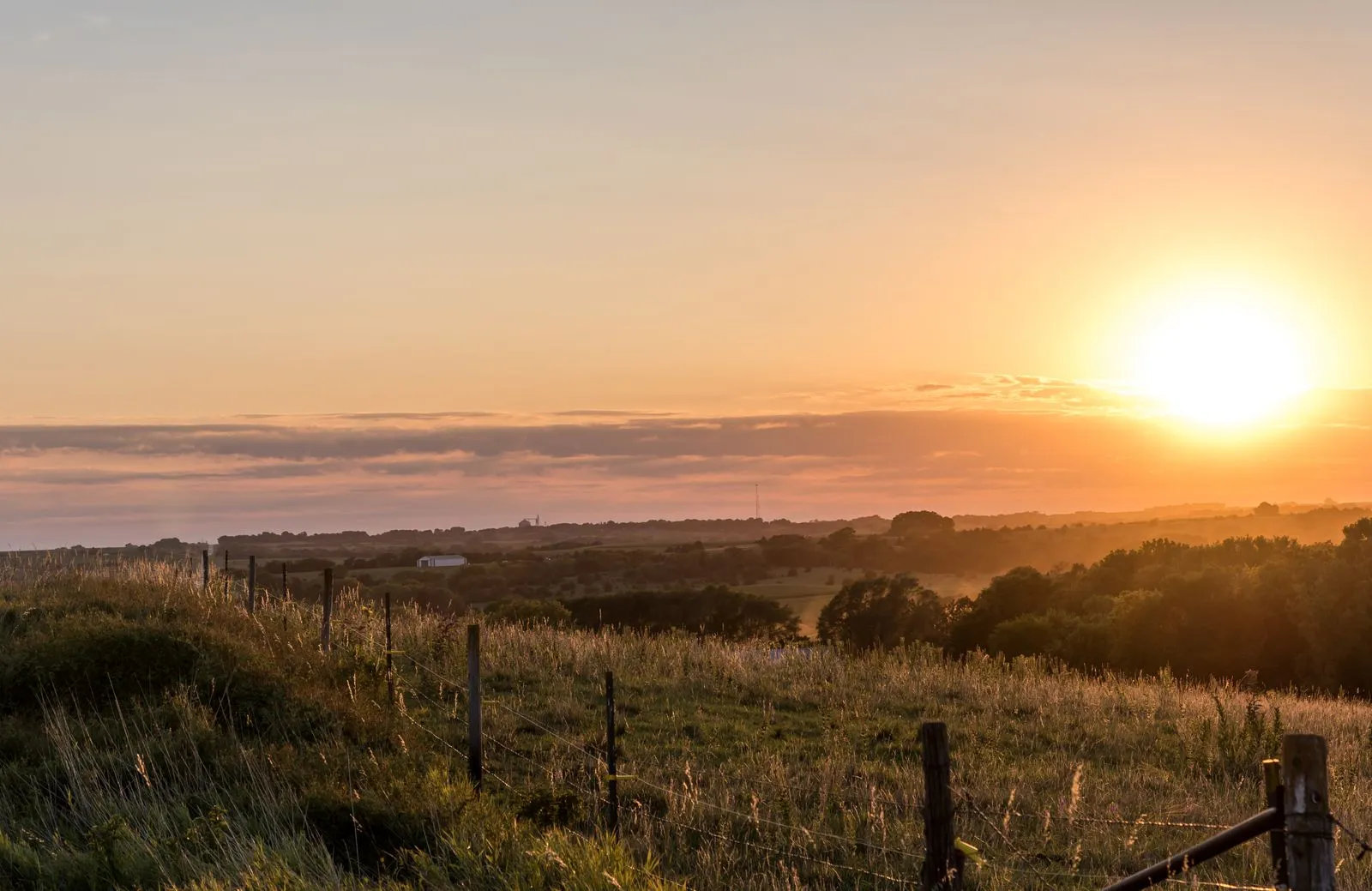 The sun rising over a rolling pasture, a wire fence running through the grass