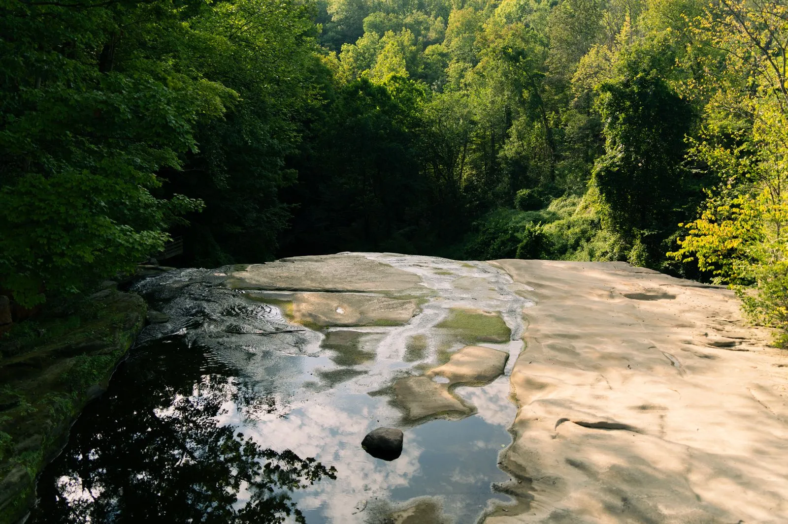 Water spilling across a broad, flat rock ledge into a wooded ravine