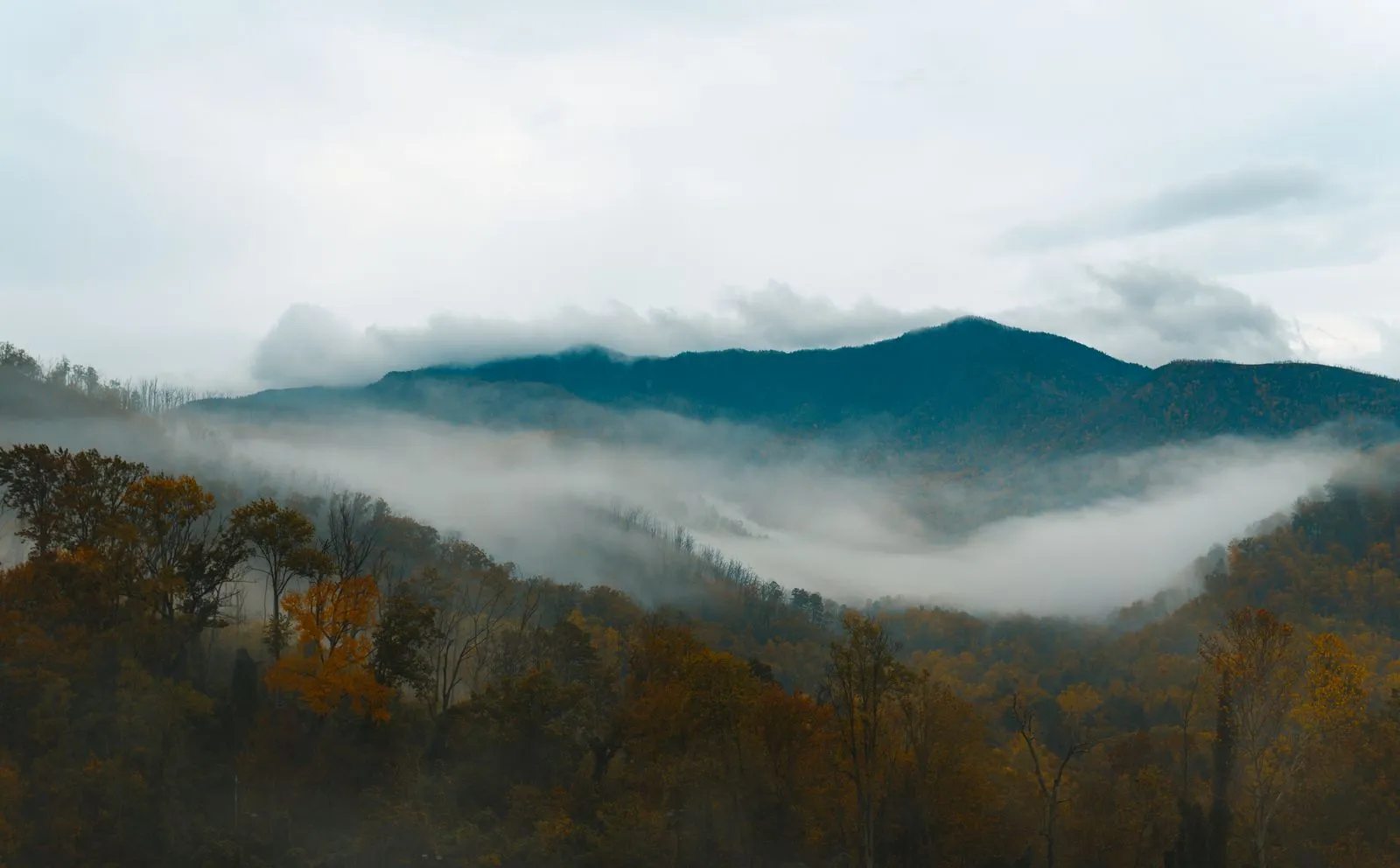 Mist drifting through a forested mountain valley in autumn, a rounded peak above